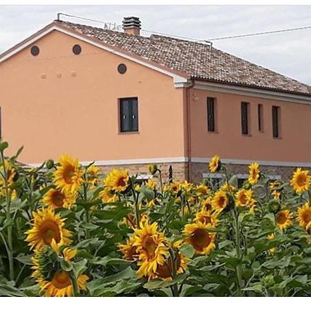 La Dolce Vita Porto Recanati Eksteriør bilde