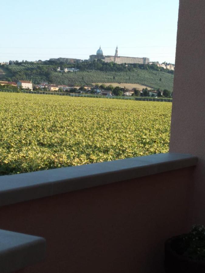 La Dolce Vita Porto Recanati Eksteriør bilde