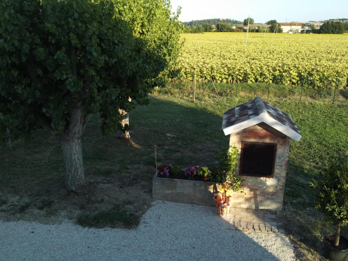 La Dolce Vita Porto Recanati Eksteriør bilde