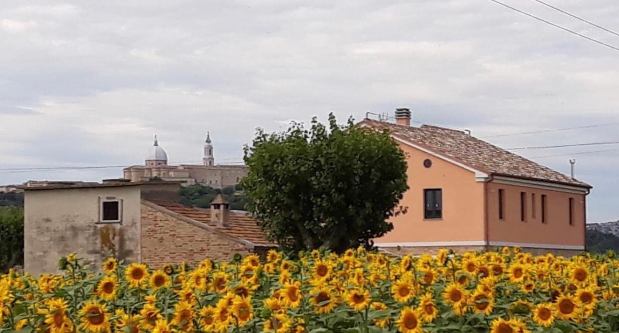 La Dolce Vita Porto Recanati Eksteriør bilde